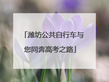 潍坊公共自行车与您同奔高考之路