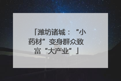 潍坊诸城：“小药材”变身群众致富“大产业”