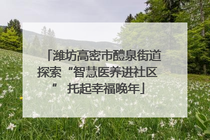 潍坊高密市醴泉街道探索“智慧医养进社区” 托起幸福晚年