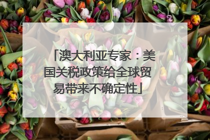 澳大利亚专家：美国关税政策给全球贸易带来不确定性
