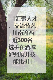 汇聚人才、交流技艺 川南渝西近300名选手在酒城泸州展开技能比拼