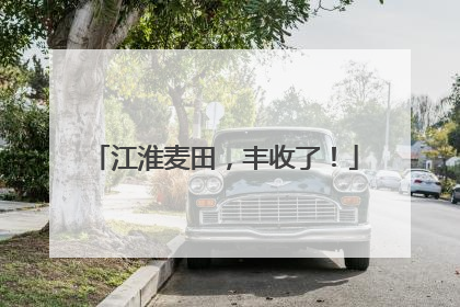 江淮麦田，丰收了！