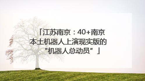 江苏南京：40+南京本土机器人上演现实版的“机器人总动员”