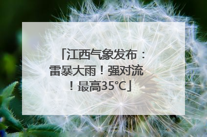 江西气象发布：雷暴大雨！强对流！最高35℃