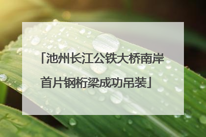 池州长江公铁大桥南岸首片钢桁梁成功吊装