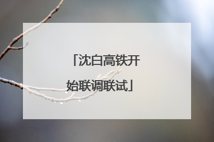 沈白高铁开始联调联试