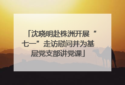 沈晓明赴株洲开展“七一”走访慰问并为基层党支部讲党课