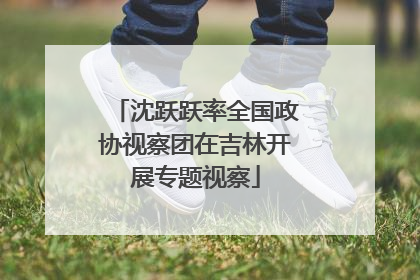 沈跃跃率全国政协视察团在吉林开展专题视察