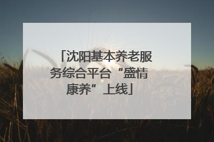 沈阳基本养老服务综合平台“盛情康养”上线