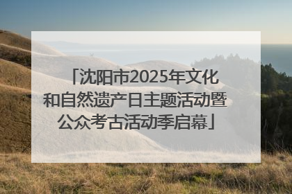 沈阳市2025年文化和自然遗产日主题活动暨公众考古活动季启幕