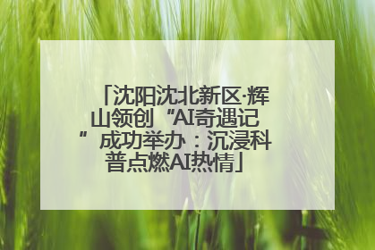 沈阳沈北新区·辉山领创“AI奇遇记”成功举办：沉浸科普点燃AI热情