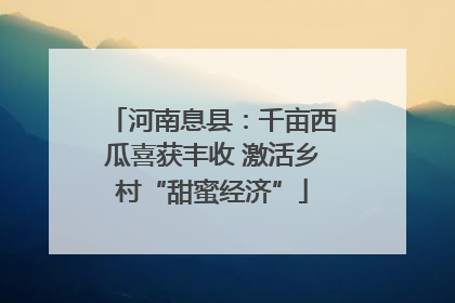 河南息县：千亩西瓜喜获丰收 激活乡村“甜蜜经济”