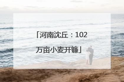 河南沈丘：102 万亩小麦开镰