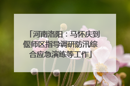 河南洛阳：马怀庆到偃师区指导调研防汛综合应急演练等工作