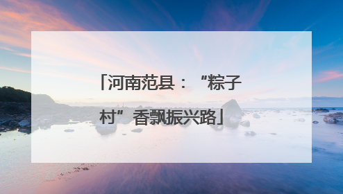 河南范县：“粽子村”香飘振兴路