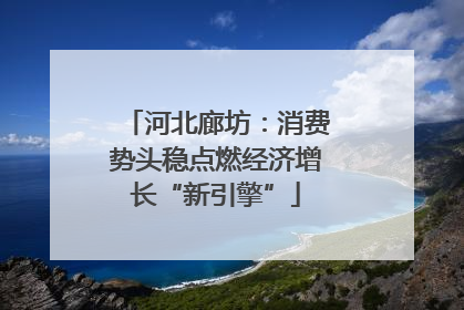 河北廊坊：消费势头稳点燃经济增长“新引擎”