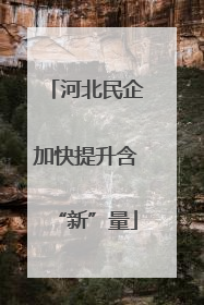河北民企加快提升含“新”量