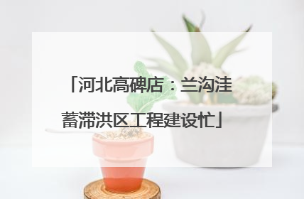 河北高碑店：兰沟洼蓄滞洪区工程建设忙