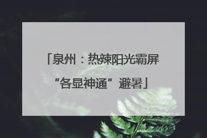 泉州：热辣阳光霸屏 “各显神通”避暑