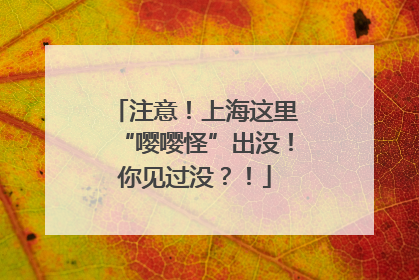 注意！上海这里“嘤嘤怪”出没！你见过没？！