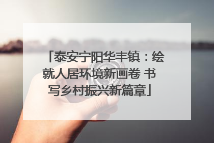 泰安宁阳华丰镇：绘就人居环境新画卷 书写乡村振兴新篇章