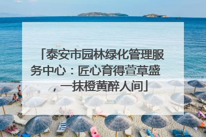 泰安市园林绿化管理服务中心：匠心育得萱草盛，一抹橙黄醉人间