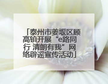 泰州市姜堰区顾高镇开展“e路同行 清朗有我”网络辟谣宣传活动