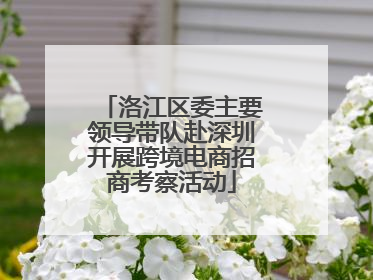洛江区委主要领导带队赴深圳开展跨境电商招商考察活动