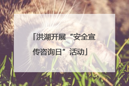 洪湖开展“安全宣传咨询日”活动