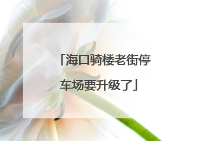 海口骑楼老街停车场要升级了