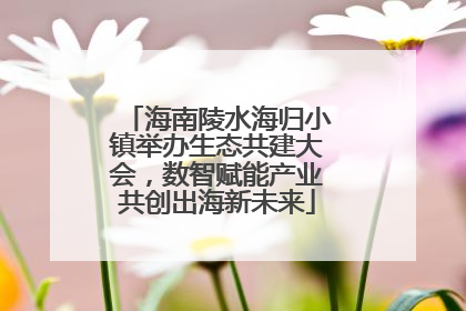 海南陵水海归小镇举办生态共建大会，数智赋能产业共创出海新未来
