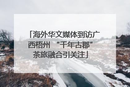 海外华文媒体到访广西梧州 “千年古郡”茶旅融合引关注