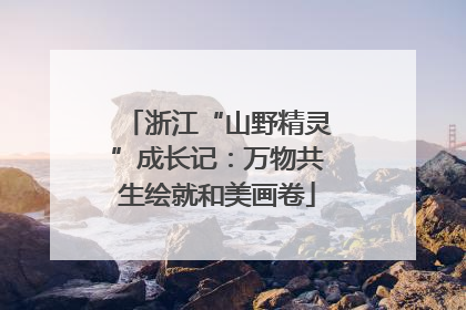 浙江“山野精灵”成长记：万物共生绘就和美画卷