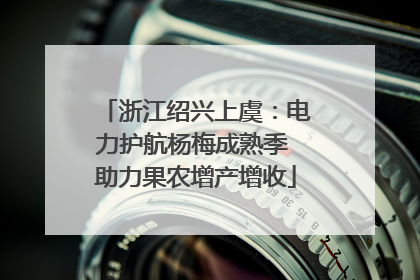 浙江绍兴上虞：电力护航杨梅成熟季 助力果农增产增收