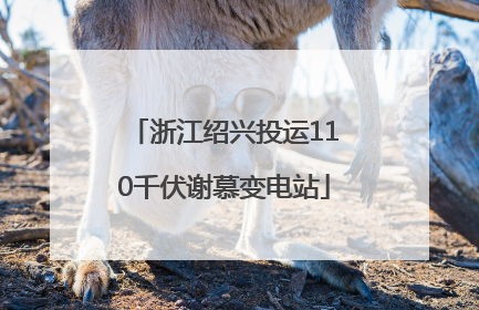 浙江绍兴投运110千伏谢慕变电站