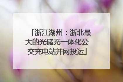 浙江湖州：浙北最大的光储充一体化公交充电站并网投运