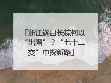 浙江遂昌长粽何以“出圈”？“七十二变”中探新路