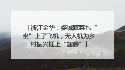 浙江金华：婺城蔬菜也“坐”上了飞机，无人机为乡村振兴插上“翅膀”