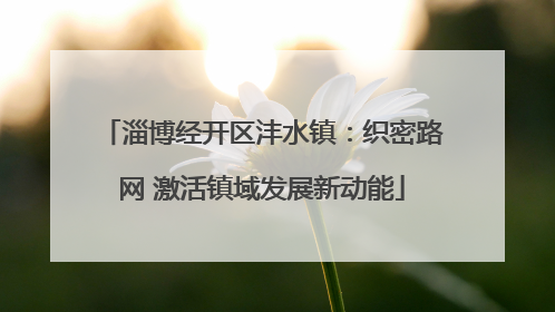 淄博经开区沣水镇：织密路网 激活镇域发展新动能