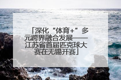 深化“体育+”多元跨界融合发展——江苏省首届匹克球大赛在无锡开赛