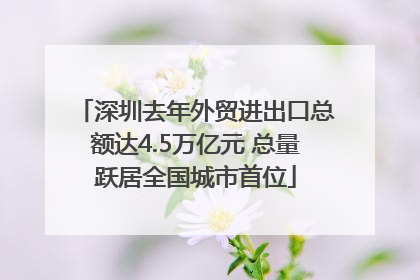 深圳去年外贸进出口总额达4.5万亿元 总量跃居全国城市首位