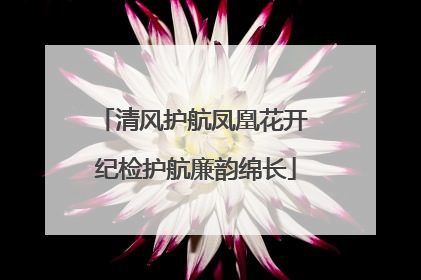 清风护航凤凰花开 纪检护航廉韵绵长
