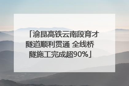 渝昆高铁云南段育才隧道顺利贯通 全线桥隧施工完成超90%