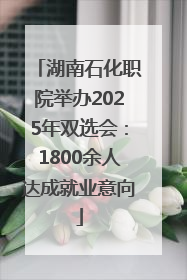湖南石化职院举办2025年双选会：1800余人达成就业意向