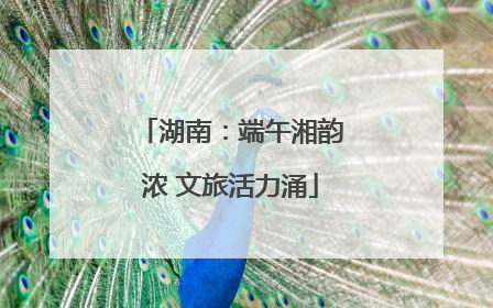 湖南：端午湘韵浓 文旅活力涌