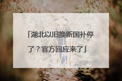 湖北以旧换新国补停了？官方回应来了