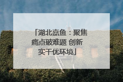 湖北嘉鱼：聚焦痛点破难题 创新实干优环境