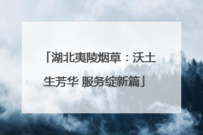湖北夷陵烟草：沃土生芳华 服务绽新篇