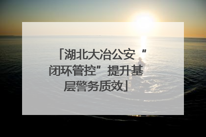 湖北大冶公安“闭环管控”提升基层警务质效