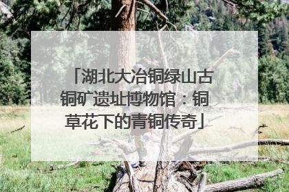 湖北大冶铜绿山古铜矿遗址博物馆：铜草花下的青铜传奇